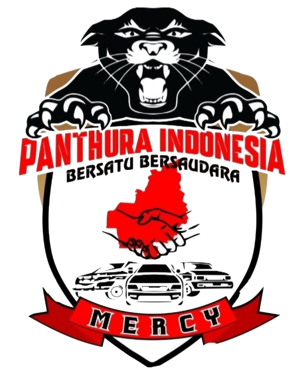 Logo MERCY