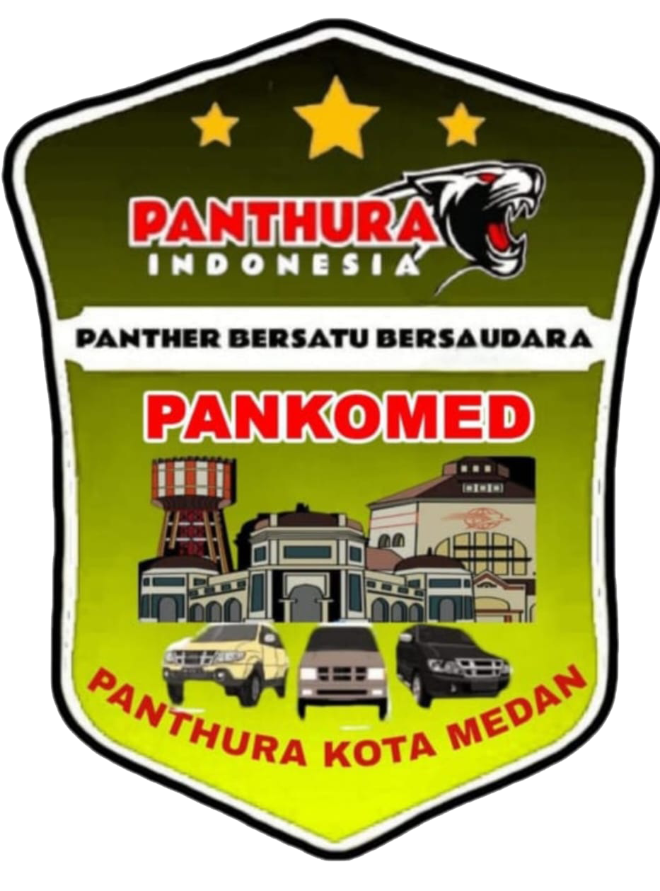 Logo PANKOMED